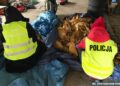 13.05.2020. Jędrzejów. Funkcjonariusze policji i Świętokrzyskiego Urzędu Celno-Skarbowego zabezpieczyli  ponad 400 kg nielegalnego tytoniu / KPP Jędrzejów