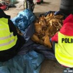 13.05.2020. Jędrzejów. Funkcjonariusze policji i Świętokrzyskiego Urzędu Celno-Skarbowego zabezpieczyli ponad 400 kg nielegalnego tytoniu / KPP Jędrzejów