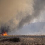 23.04.2020. Pożar w Biebrzańskim Parku Narodowym / Paweł Wądołowski / Radio Białystok
