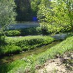 Przystań Batów. Wypożyczalnia kajaków / Emilia Sitarska / Radio Kielce