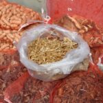 Wuhan. Chiny / Małgorzata Anna Jóźwiak i Marek Jóźwiak