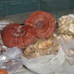 Wuhan. Chiny / Małgorzata Anna Jóźwiak i Marek Jóźwiak