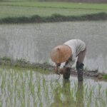 Wietnam / Majka Szura i Tomasz Słoń