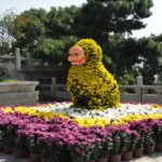 Wuhan. Chiny / Małgorzata Anna Jóźwiak i Marek Jóźwiak