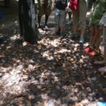 Wietnam / Majka Szura i Tomasz Słoń