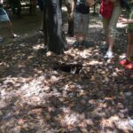 Wietnam / Majka Szura i Tomasz Słoń