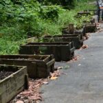 Wietnam / Majka Szura i Tomasz Słoń