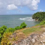 Panama / Majka Szura