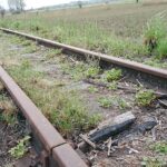 15.05.2020. Skowronno Górne koło Pińczowa. Torowisko i mostek na linii Pińczów-Umianowice / Marta Gajda