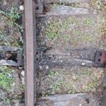 15.05.2020. Skowronno Górne koło Pińczowa. Torowisko i mostek na linii Pińczów-Umianowice / Marta Gajda