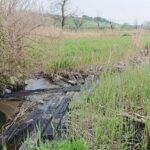 15.05.2020. Skowronno Górne koło Pińczowa. Torowisko i mostek na linii Pińczów-Umianowice / Marta Gajda