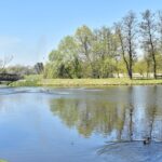 08.05.2020. Końskie. Fontanna / Magdalena Galas-Klusek / Radio Kielce