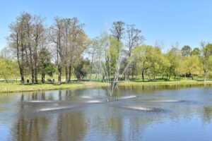 08.05.2020. Końskie. Fontanna / Magdalena Galas-Klusek / Radio Kielce