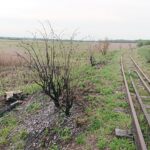 15.05.2020. Skowronno Górne koło Pińczowa. Torowisko i mostek na linii Pińczów-Umianowice / Marta Gajda