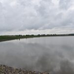 15.05.2020. Radoszyce. Zalew  i nasadzenia / Magdalena Galas-Klusek / Radio Kielce