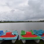 15.05.2020. Radoszyce. Zalew  i nasadzenia / Magdalena Galas-Klusek / Radio Kielce