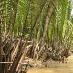 Wietnam / Majka Szura i Tomasz Słoń