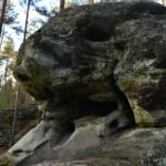 Rezerwat Skałki Piekło pod Niekłaniem. „Piekielny Szlak” / Magdalena Galas-Klusek / Radio Kielce