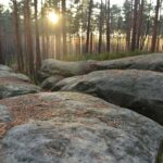 Rezerwat Skałki Piekło pod Niekłaniem. „Piekielny Szlak” / Magdalena Galas-Klusek / Radio Kielce