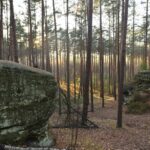 Rezerwat Skałki Piekło pod Niekłaniem. „Piekielny Szlak” / Magdalena Galas-Klusek / Radio Kielce