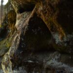 Rezerwat Skałki Piekło pod Niekłaniem. „Piekielny Szlak” / Magdalena Galas-Klusek / Radio Kielce