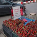 30.05.2020 Kielce. Truskawki / Michał Kita / Radio Kielce