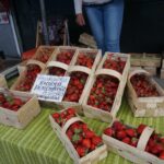 30.05.2020 Kielce. Truskawki / Michał Kita / Radio Kielce