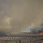 23.04.2020. Pożar w Biebrzańskim Parku Narodowym / Paweł Wądołowski / Radio Białystok