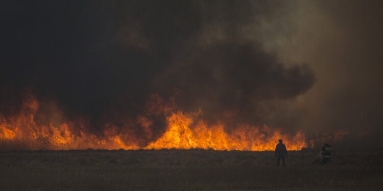 23.04.2020. Pożar w Biebrzańskim Parku Narodowym / Paweł Wądołowski / Radio Białystok