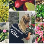 21.05.2020. Połaniec. Akcja #EneaEkoProjekty - „kwiaty dla pszczół” / Enea Połaniec