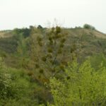 Radni nie zgodzili się na rozszerzenie obszaru Natura 2000