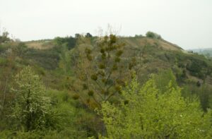 Radni nie zgodzili się na rozszerzenie obszaru Natura 2000