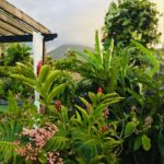 Kostaryka / Grażyna Woźniczka i Majka Szura