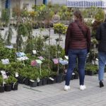 16.05.2020. Kielce. Targi Kielce - kiermasz ogrodniczy / Jarosław Kubalski / Radio Kielce