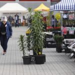 16.05.2020. Kielce. Targi Kielce - kiermasz ogrodniczy / Jarosław Kubalski / Radio Kielce