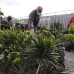 16.05.2020. Kielce. Targi Kielce - kiermasz ogrodniczy / Jarosław Kubalski / Radio Kielce