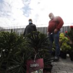 16.05.2020. Kielce. Targi Kielce - kiermasz ogrodniczy / Jarosław Kubalski / Radio Kielce