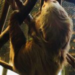 Kostaryka / Grażyna Woźniczka i Majka Szura