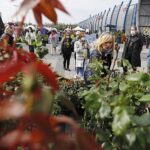 16.05.2020. Kielce. Targi Kielce - kiermasz ogrodniczy / Jarosław Kubalski / Radio Kielce