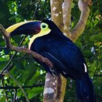 Kostaryka / Grażyna Woźniczka i Majka Szura