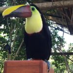 Kostaryka / Grażyna Woźniczka i Majka Szura