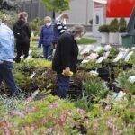 16.05.2020. Kielce. Targi Kielce - kiermasz ogrodniczy / Jarosław Kubalski / Radio Kielce