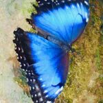 Kostaryka / Grażyna Woźniczka i Majka Szura