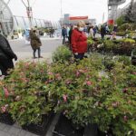 16.05.2020. Kielce. Targi Kielce - kiermasz ogrodniczy / Jarosław Kubalski / Radio Kielce