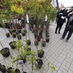 16.05.2020. Kielce. Targi Kielce - kiermasz ogrodniczy / Jarosław Kubalski / Radio Kielce