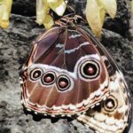 Kostaryka / Grażyna Woźniczka i Majka Szura