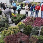 16.05.2020. Kielce. Targi Kielce - kiermasz ogrodniczy / Jarosław Kubalski / Radio Kielce