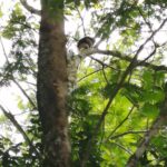 Kostaryka / Grażyna Woźniczka i Majka Szura