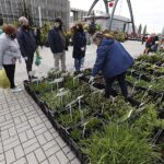 16.05.2020. Kielce. Targi Kielce - kiermasz ogrodniczy / Jarosław Kubalski / Radio Kielce