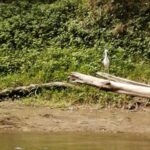 Kostaryka / Grażyna Woźniczka i Majka Szura